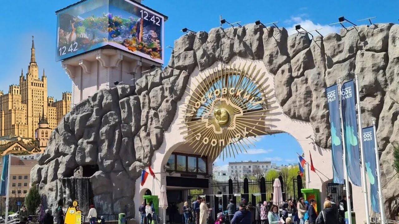 Развлекательные выезды